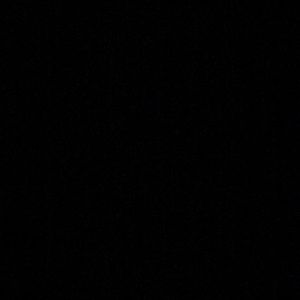 Meet your Posher, Bianca